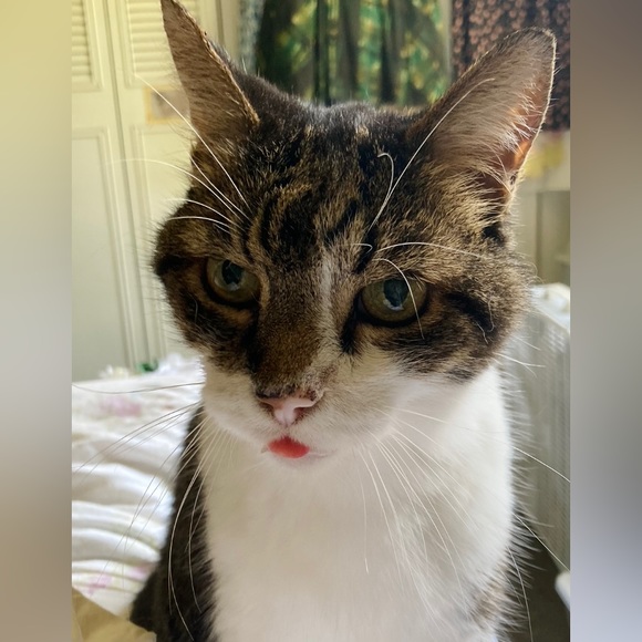 Meet your Posher, Holly - Picture 14 of 16